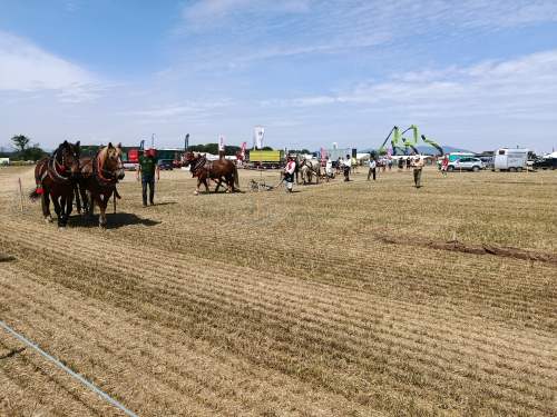 IMG_20260609_105201